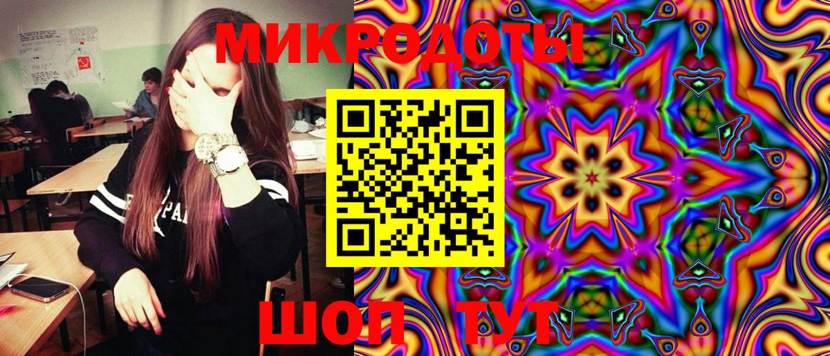 Псилоцибиновые грибы Psilocybe Краснотурьинск